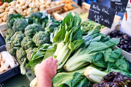 La Pyramide Vienne Chef Patrick Henriroux Restaurant 2 étoiles Michelin Isère