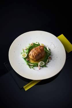 menu gastronomique - restaurant La Pyramide à Vienne 