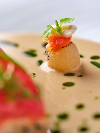 Plats Restaurant Gastronomique à Vienne La Pyramide 2 étoiles Michelin