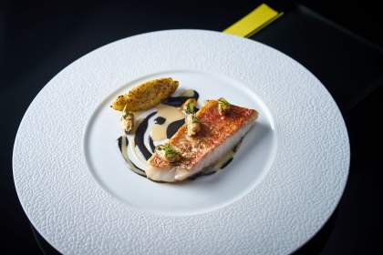 Hôtel Restaurant en Isère La Pyramide à Vienne