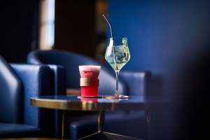 Lounge Bar Bleu Pearl - Vienne