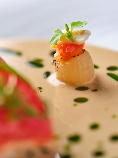 Plats Restaurant Gastronomique à Vienne La Pyramide 2 étoiles Michelin