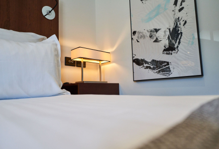 Rooms La Pyramide Vienne Luxury Hotel in Vienne, Isère France
