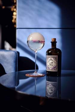 Lounge Bar Bleu Pearl - Vienne